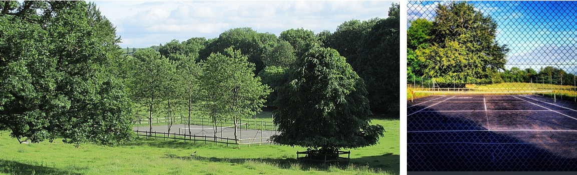 Curwen Woods